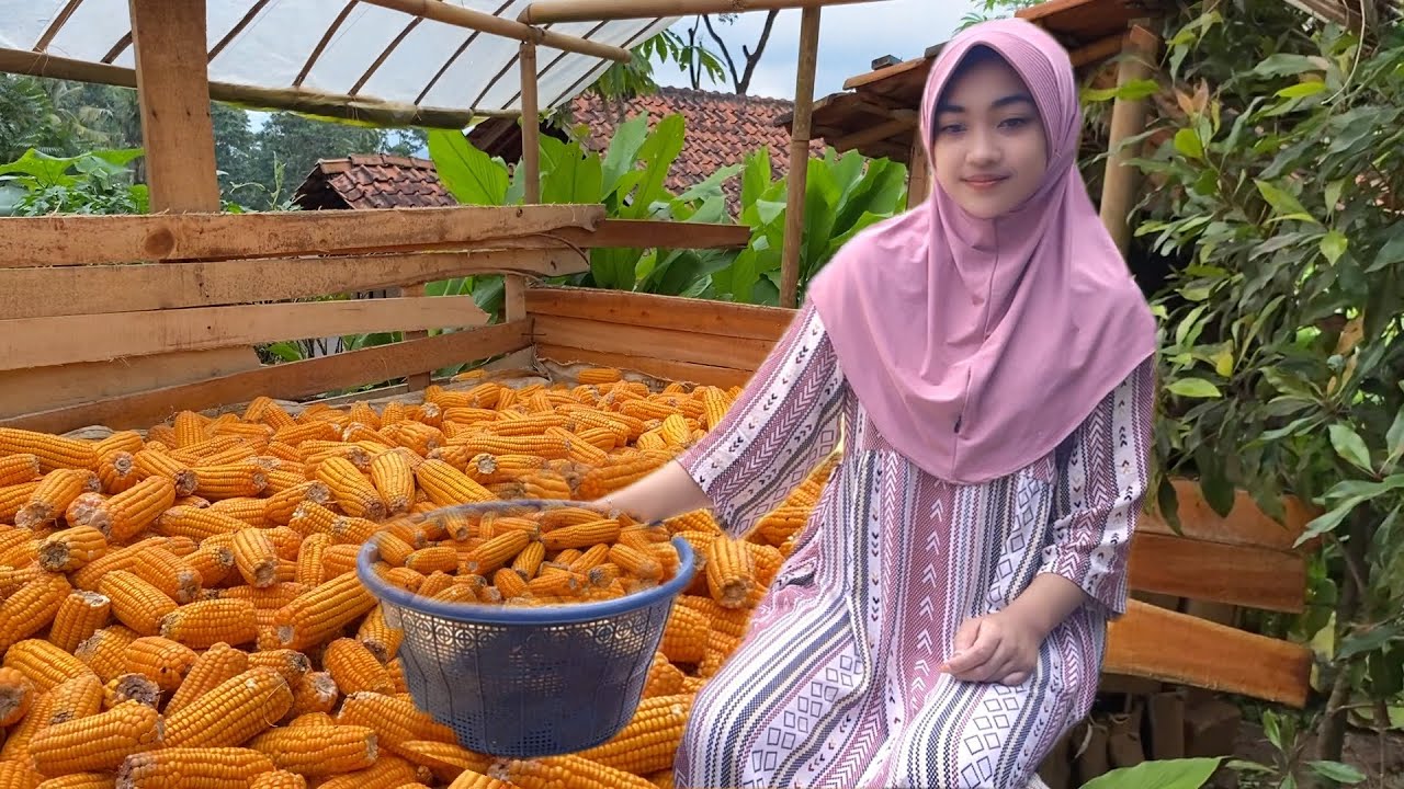 SIDAK KE RUMAH BARUNYA NENG NOVI GADIS YATIM YANG SEJAK MASIH KECIL DI TINGGAL ORANG TUA