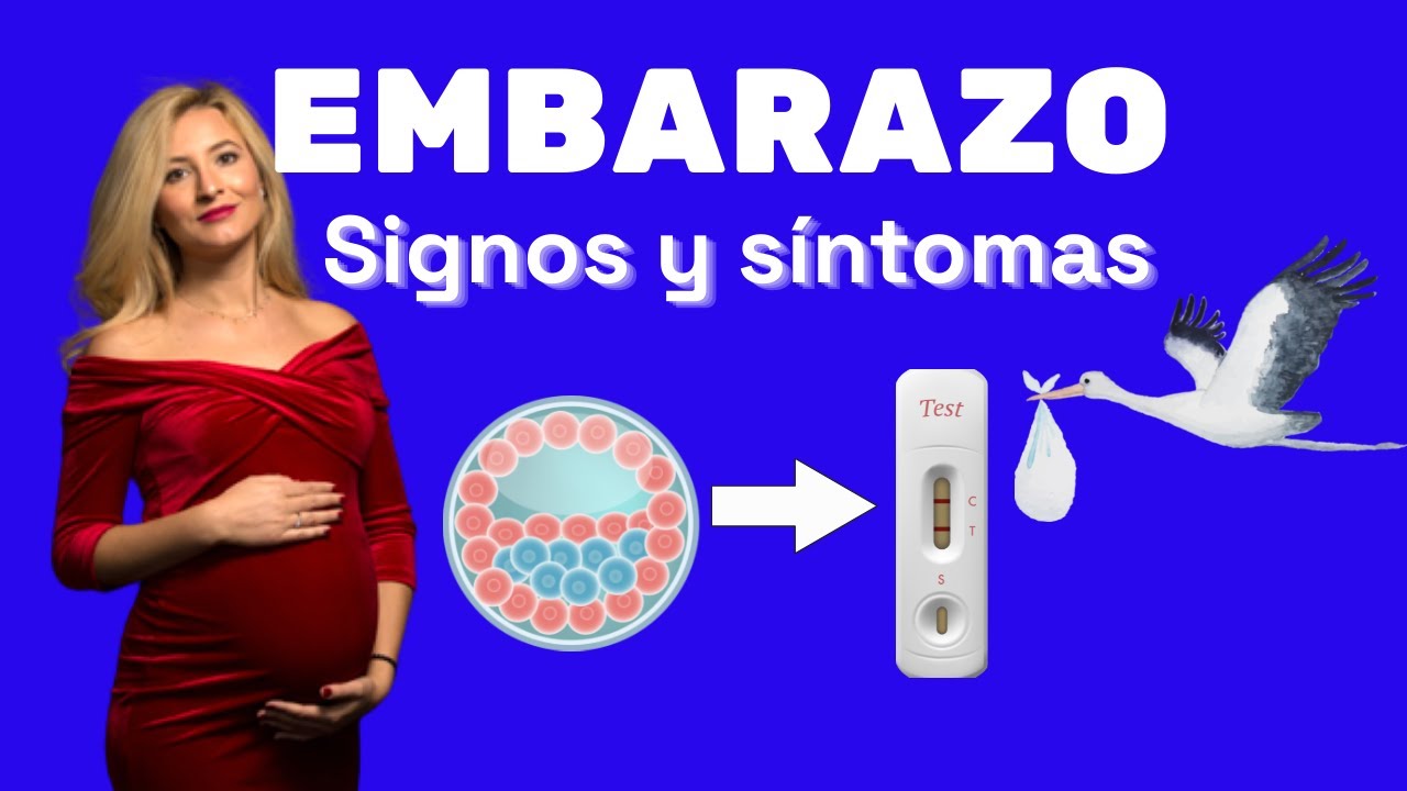 &iquest;Cu&aacute;les son los SIGNOS y S&Iacute;NTOMAS de EMBARAZO? &iquest;Qu&eacute; esperar en cada trimestre?