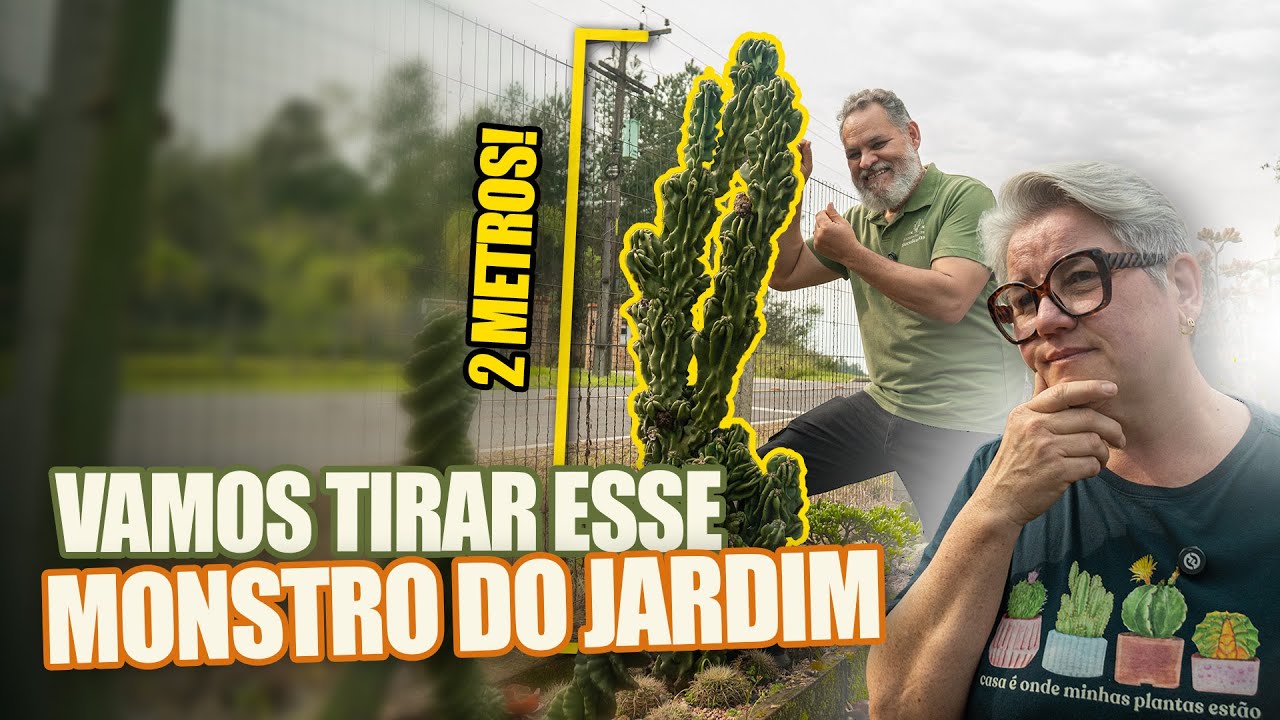 063 | Tiramos um cactos de 2 metros do jardim