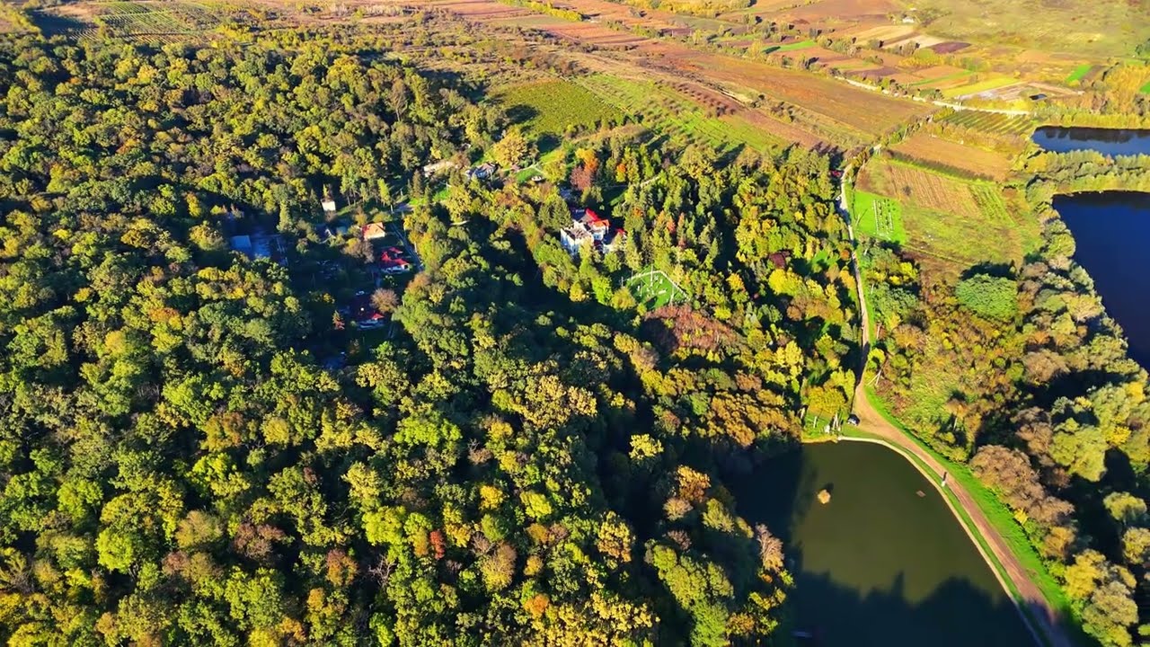 [4K] MD Rezervaţia Codri s. Lozova