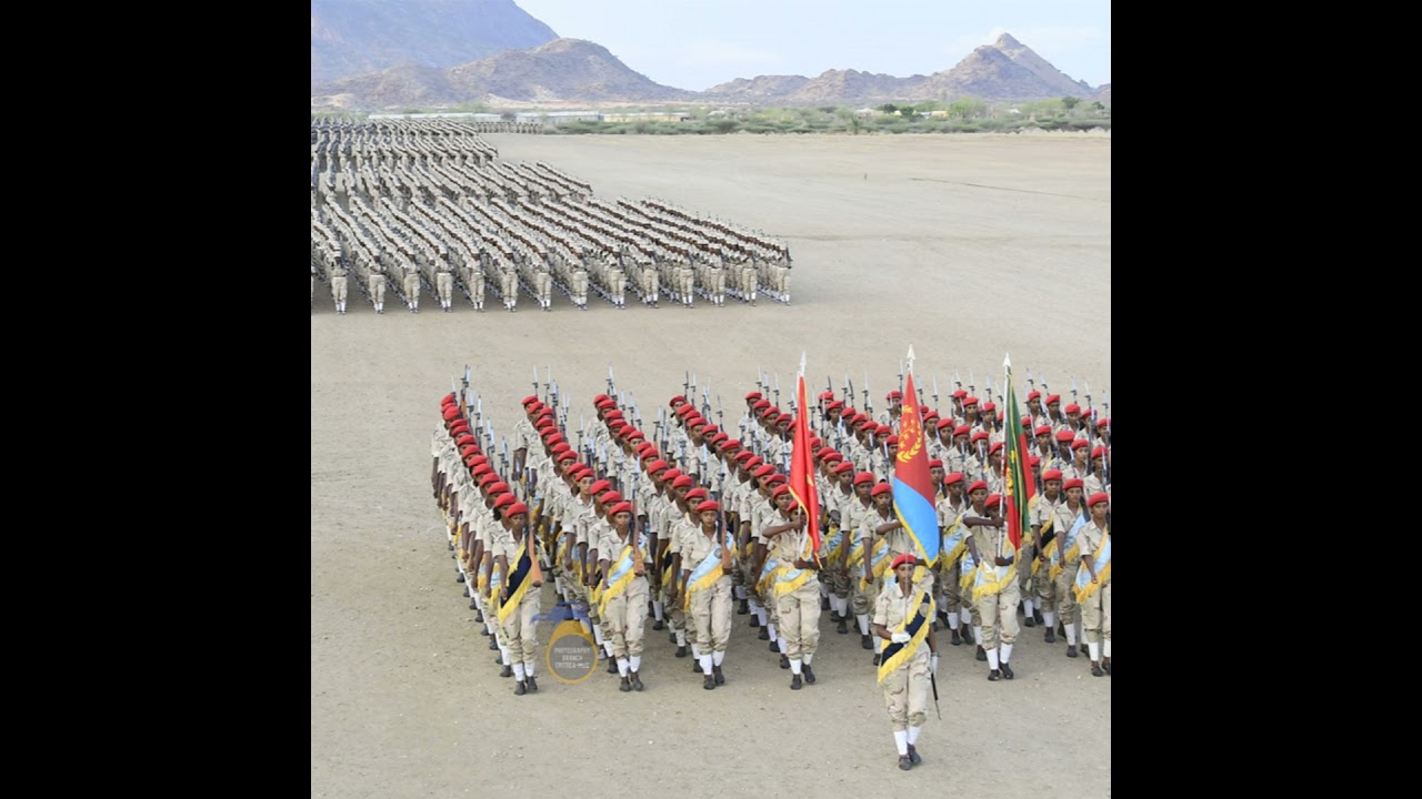 Sawa: Forging Eritrea's Future Nation-Builders