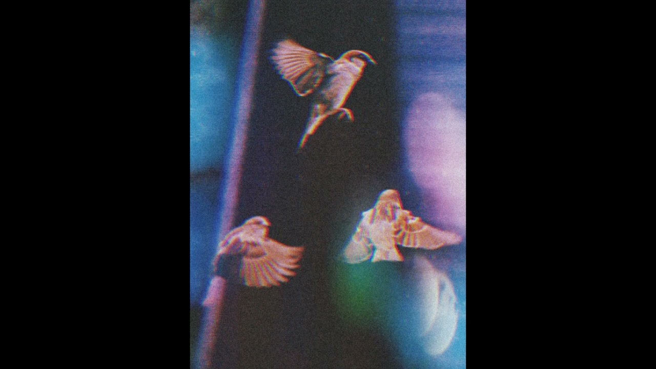 [FREE] Sewerperson x Eric Godlow Lofi Type Beat | 