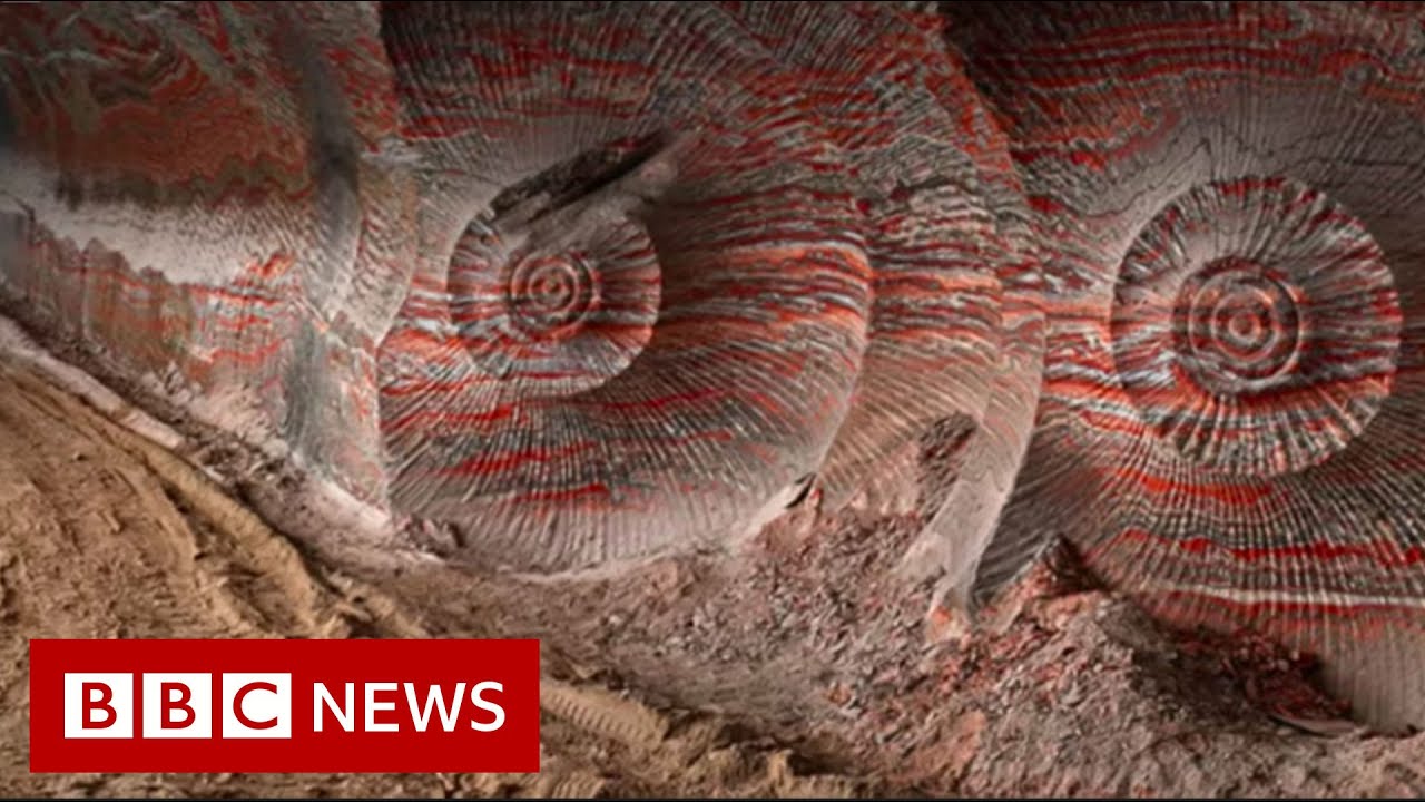 Artist captures how humans are reshaping the planet - BBC News