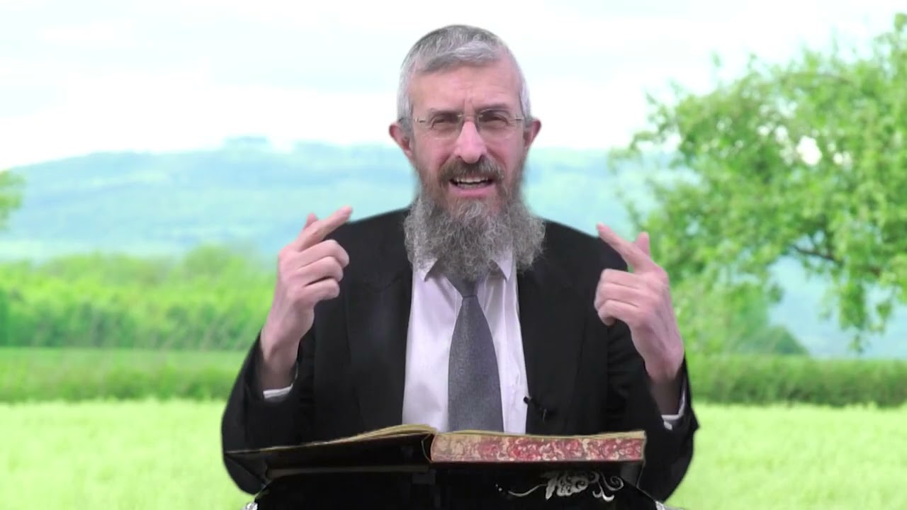 מסכת מנחות דף טז - 8 דקות של לומדות ועמקות בדרך הלימוד הישיבתית [Menachot 16]