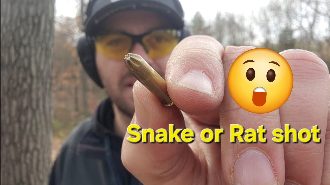 Дробовой патрон .22 LR!!! Змеиная дробь или крысиная дробь 🐍 🐀