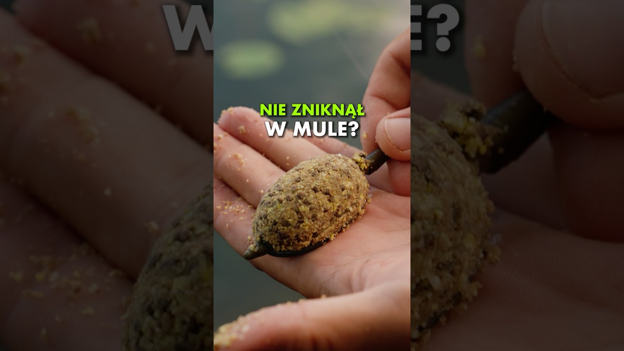 Feeders and bait for DEEP and MUDDY waters - you MUST know this!