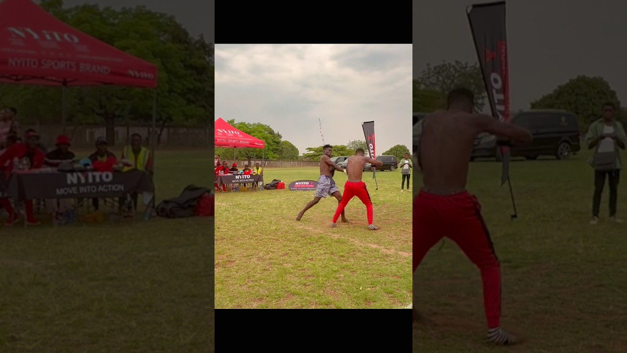 When your brain does a quick reset mid-fight #boxing #musangwe #combatsports #mma #sports #fight