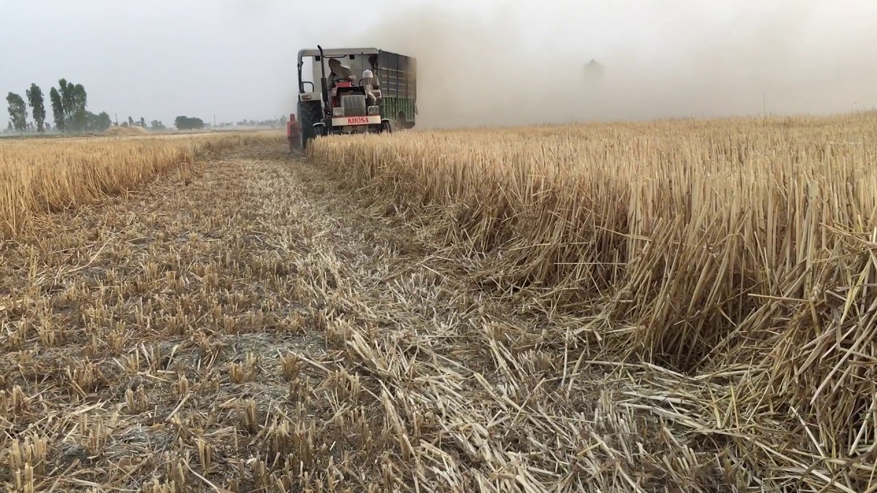 Raja Straw Reaper (Avtar kalsi agro works Talwandi Bhai)09814070295