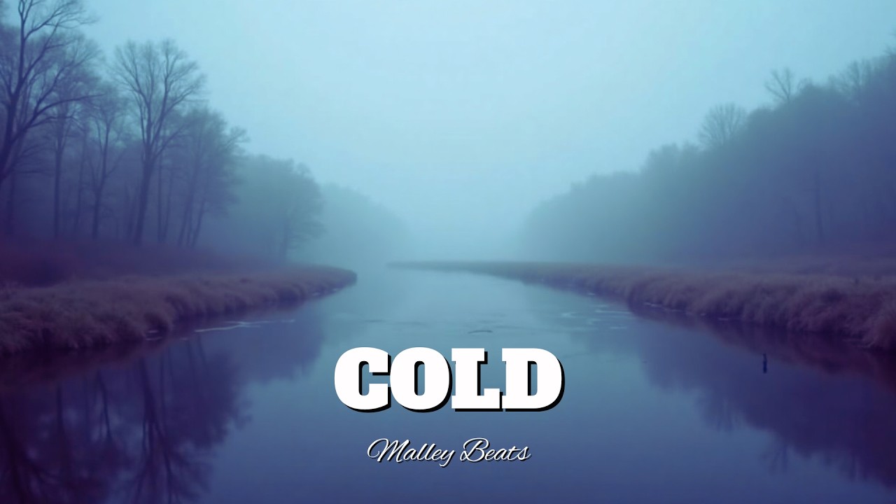 (FREE) BigXThaPlug x Morgan Wallen Type Beat - 