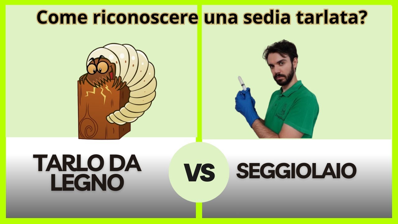 Come riconoscere una sedia tarlata e come eliminare definitivamente i tarli