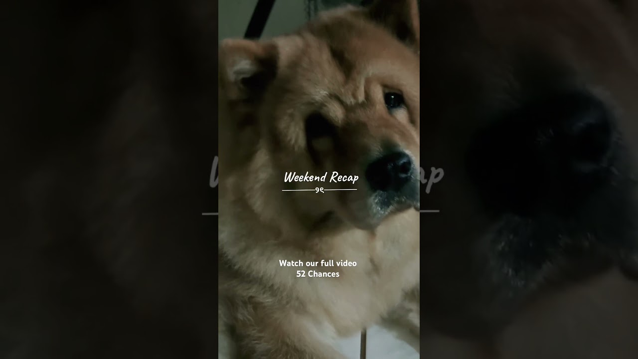 52 chances - weekend movie and coffee shop hopping #pinoyvlog #travel #weekend #pinoy #pinoyseries