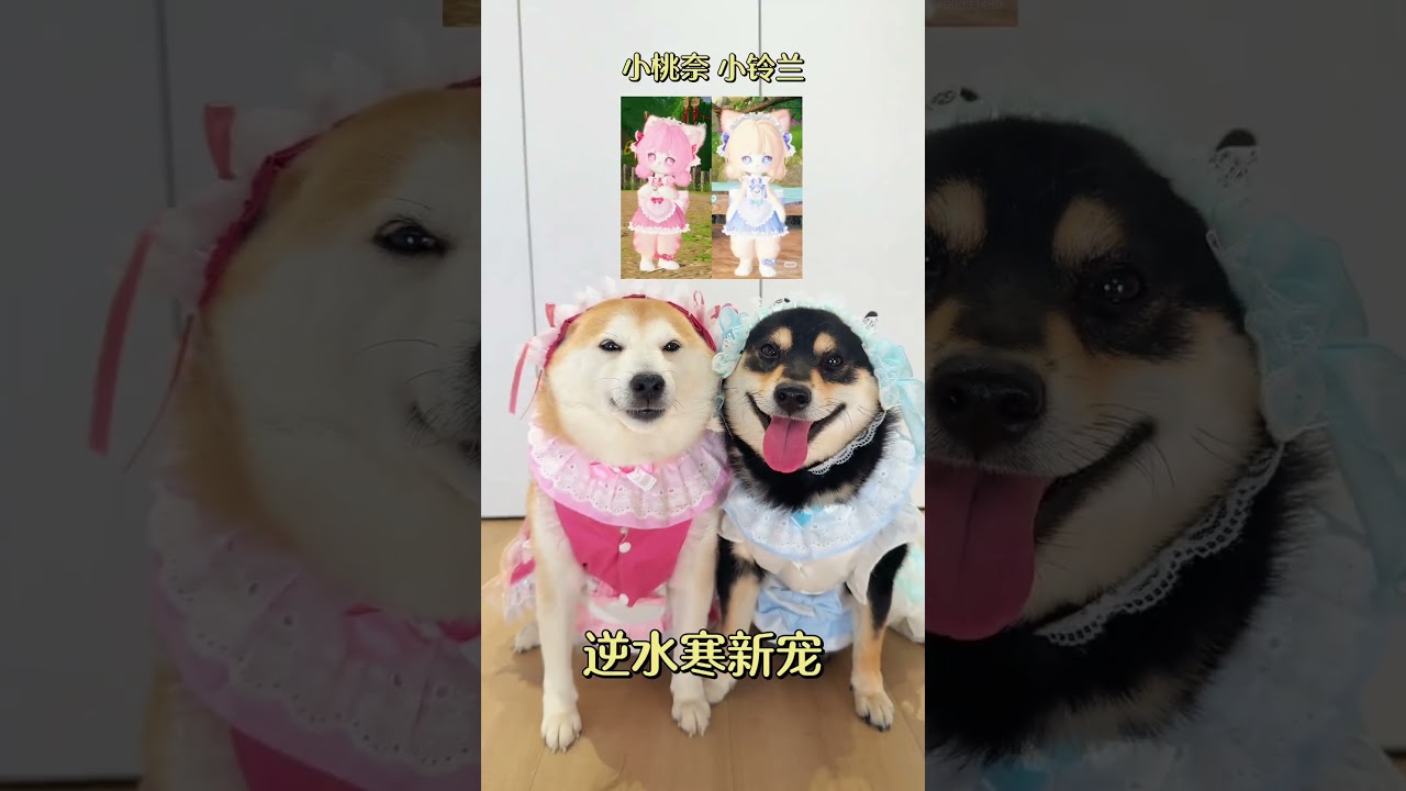 Howl in the mud, do you want to watch the October poster transform into a little public move 