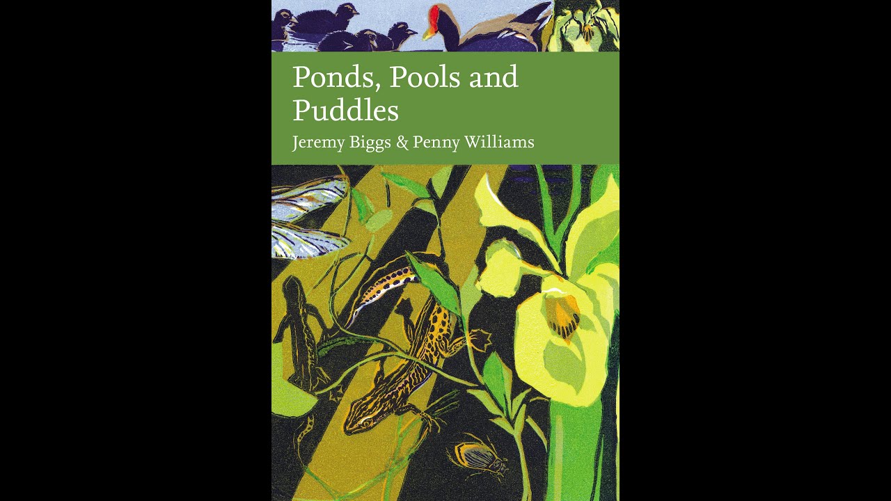 Ponds, Pools and Puddles book launch