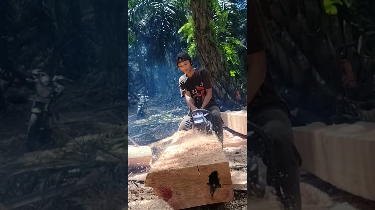 Prosesnya lambat membelah kayu