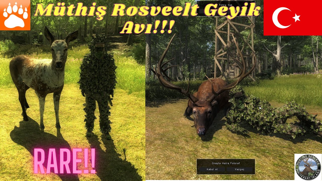 theHunter Classic Roosvelt elk Hunting &( Rare Elk!!) & Yayla kuleden av Part 3  #thehunter