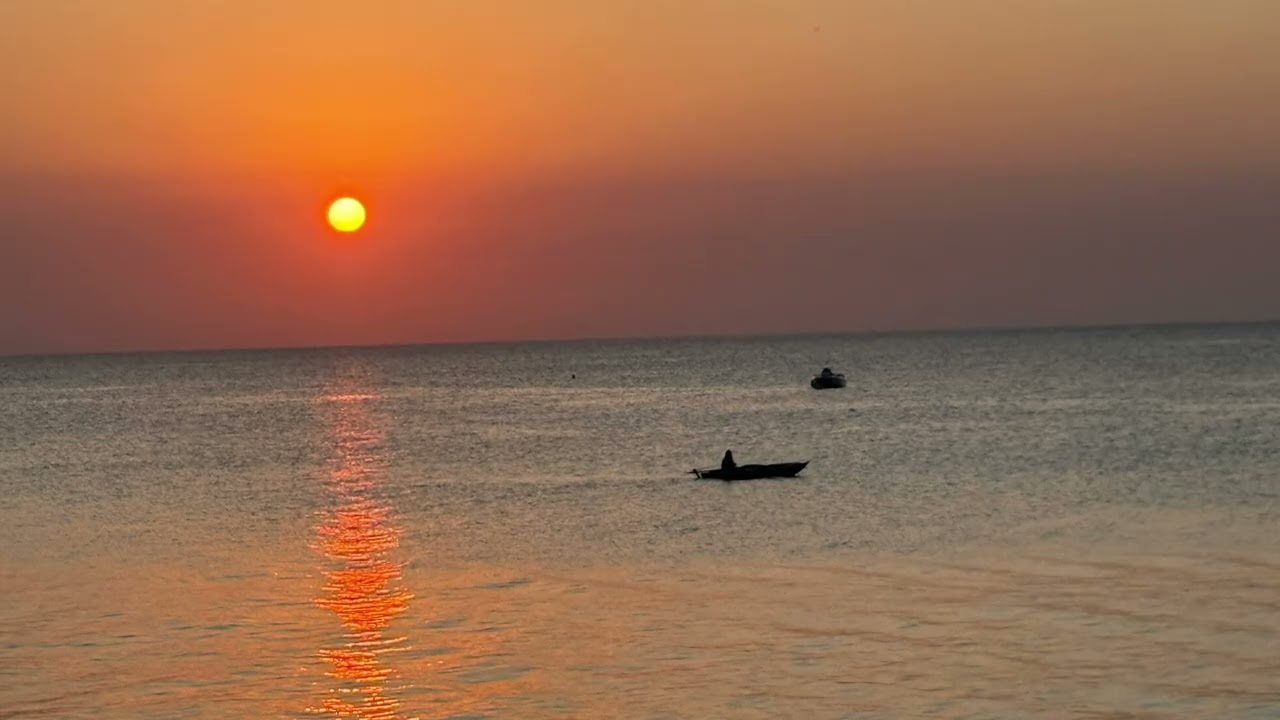 MOYA Beach Hotel - Zanzibar vibes