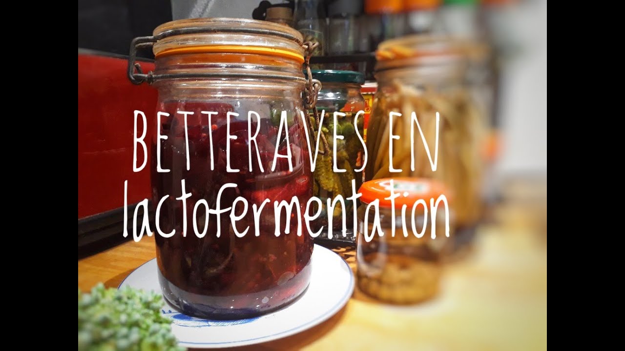 CONSERVES de BETTERAVES en LACTOFERMENTATION
