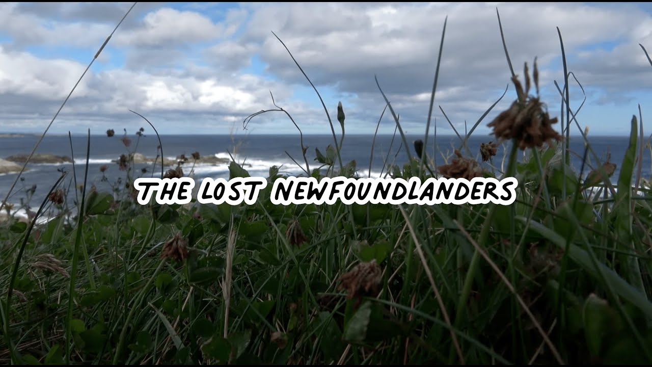 The Lost Newfoundlanders. Part 1.
