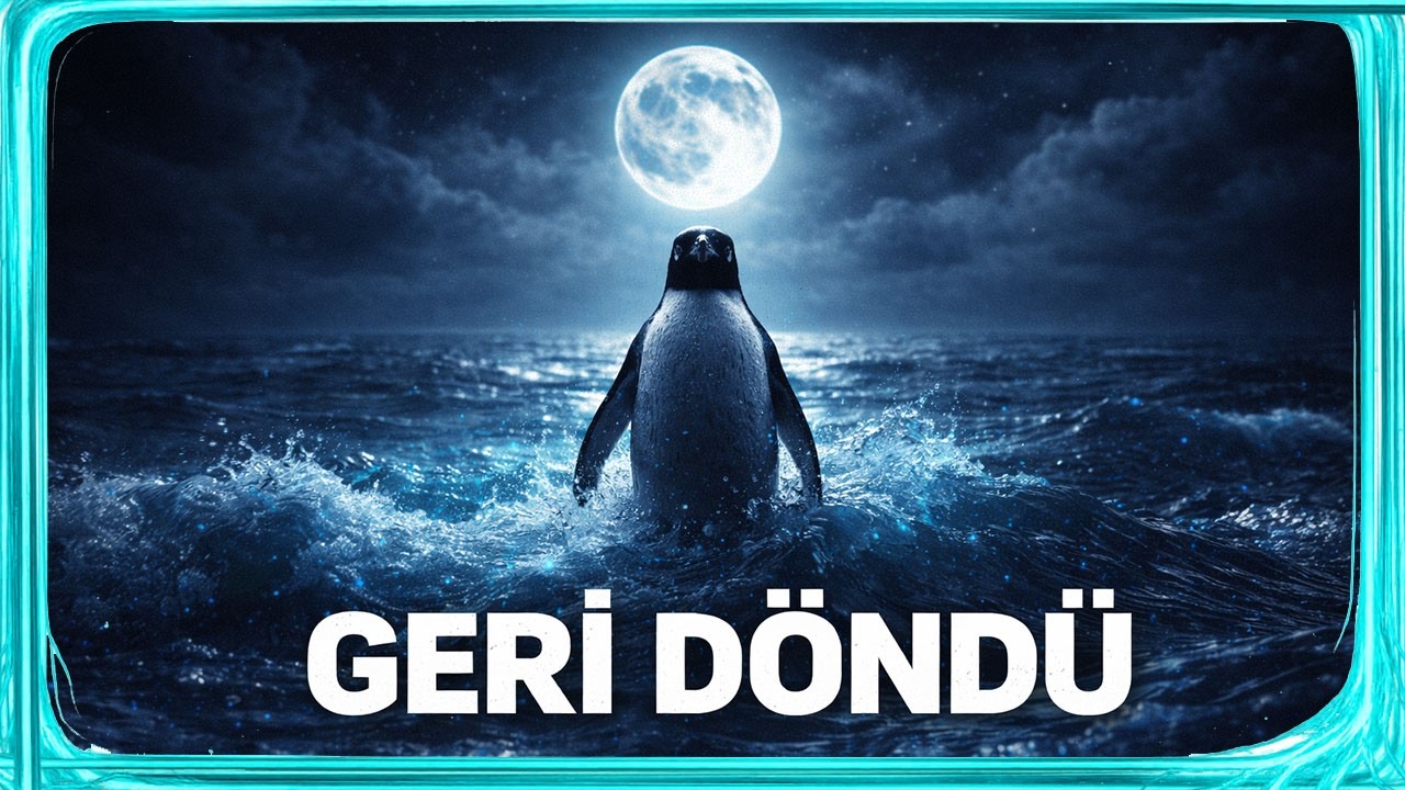 BU PENGUEN 19 YIL SONRA NEDEN VİRAL OLDU ?