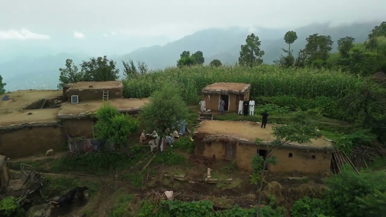 Drone View of Malka, Buner:  Lush Green Summer Landscapes
