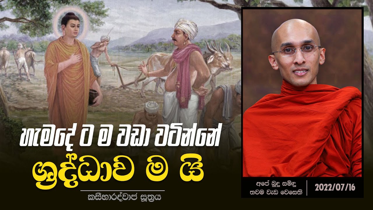 15) හැමදේ ට ම වඩා වටින්නේ ශ්‍රද්ධාව ම යි (කසීභාරද්වාජ සූත්‍රය)  | අපේ බුදු සමිඳු තවම වැඩ වෙසෙති
