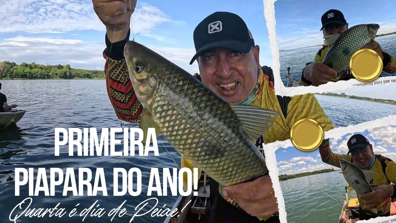 🌉PRIMEIRA PESCARIA DE PIAPARAS DO ANO! PEGAMOS DEBAIXO DA PONTE!🌉