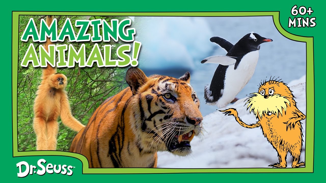 Mega Lorax Nature Keeper Marathon! | 800K Subscriber Special | 60+ Mins | Dr. Seuss