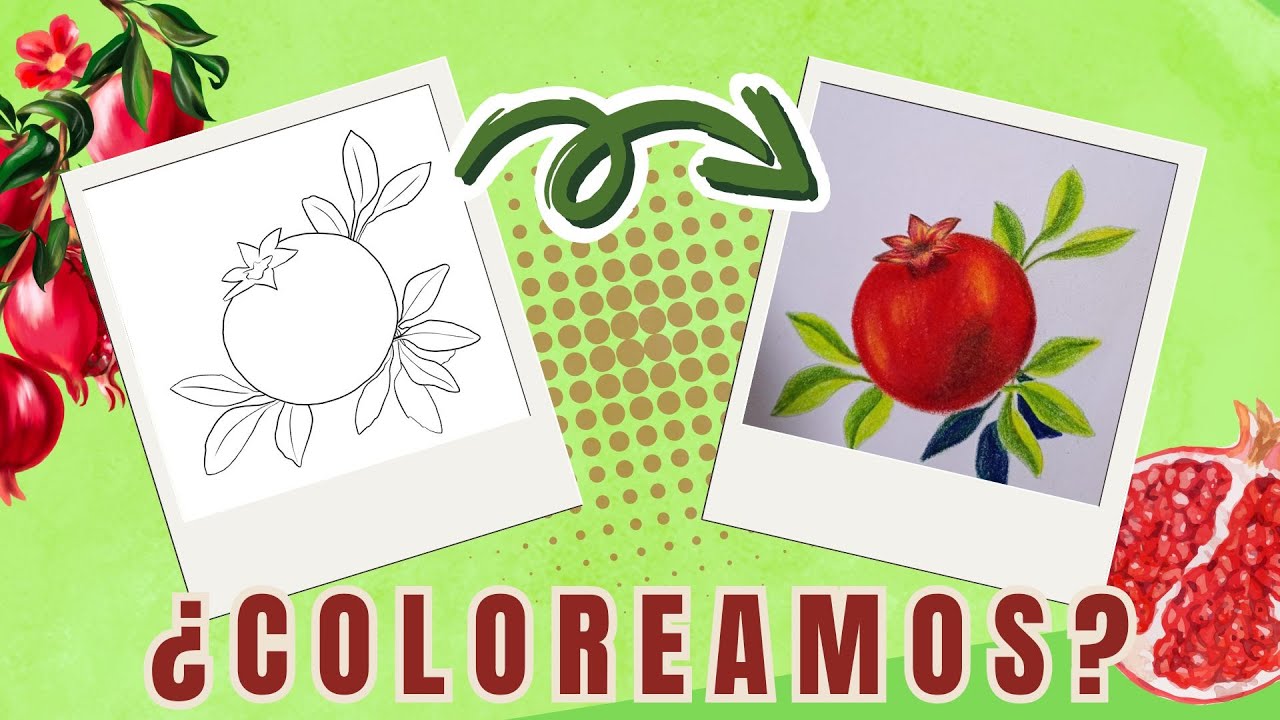 Colorea una granada paso a paso | Arte relajante y lleno de vida 🍎✨