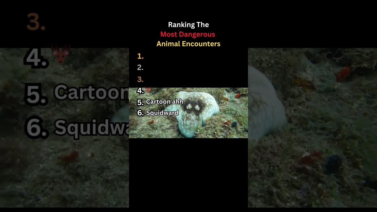 Ranking The Most Dangerous Animal Encounters 🦇