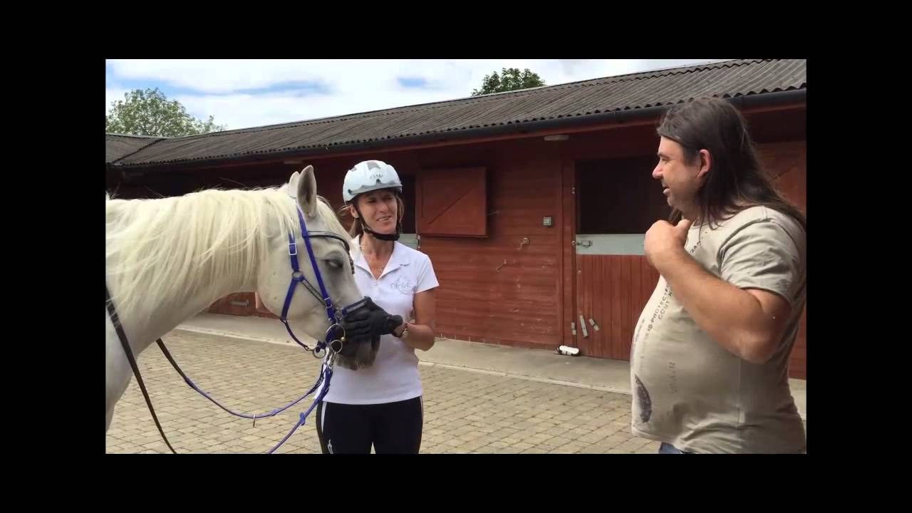 Saddle Fit for Arabian Horses part 1 - High Withered  Endurance Arab