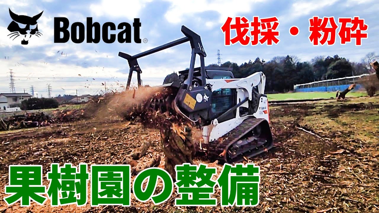【果樹園の整備】視聴者様からのご依頼第二弾！果樹園をBobcatとPC45で綺麗に整備してきました！