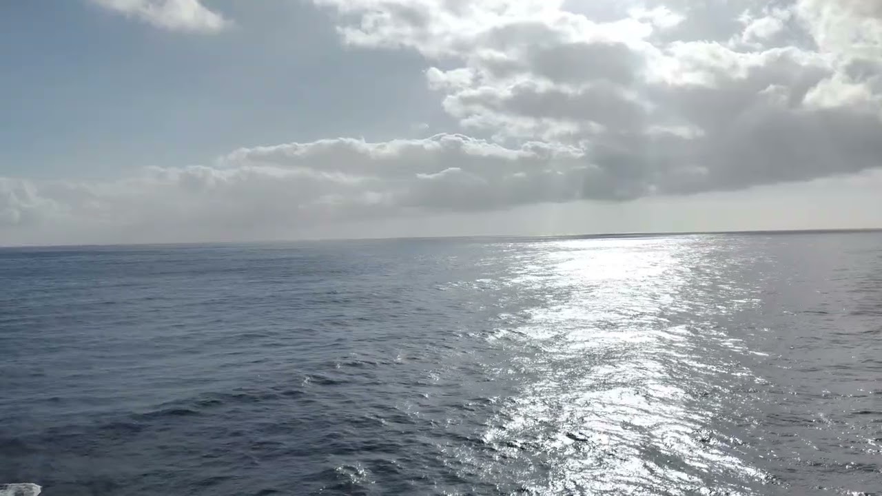Bright Sky and Real Ocean Waves – Peaceful Sea View