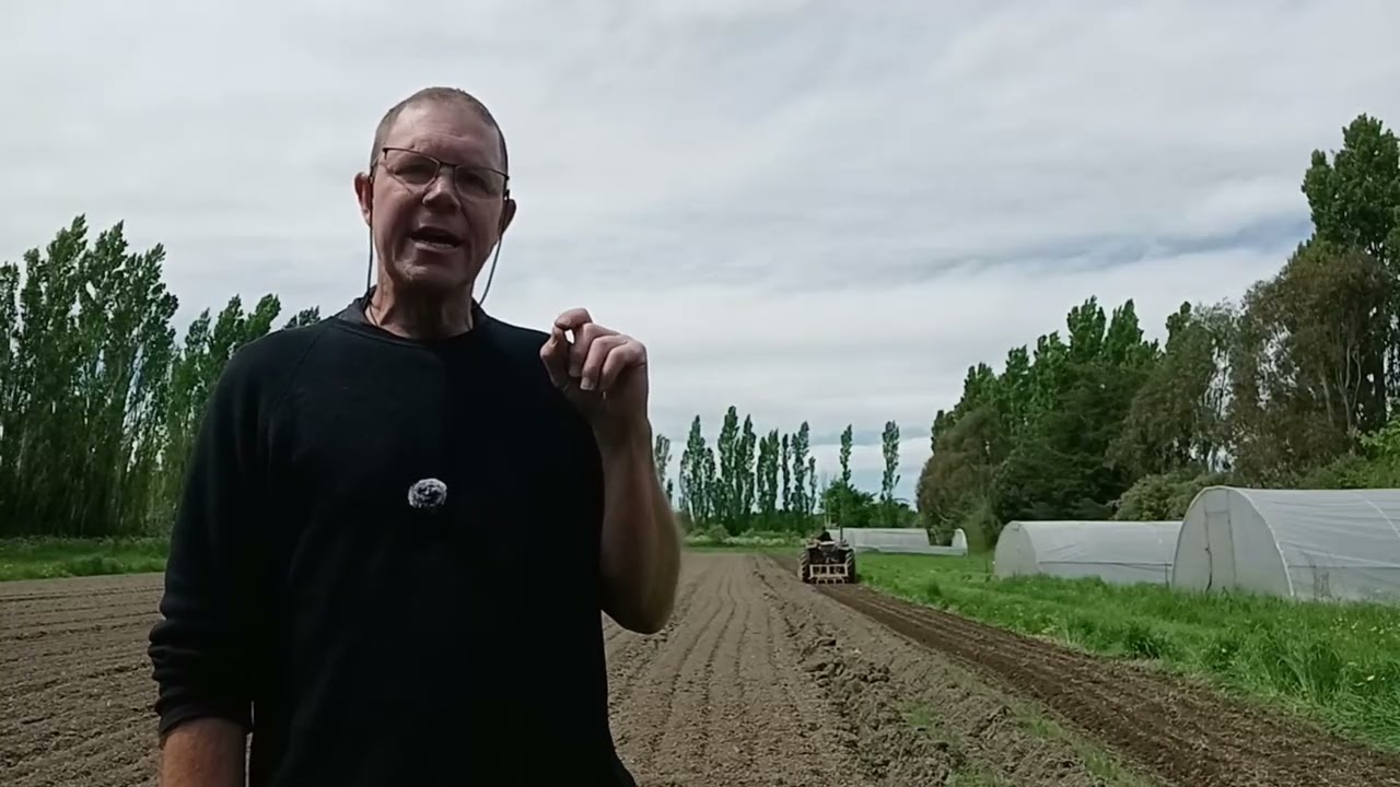 False seedbed cultivator