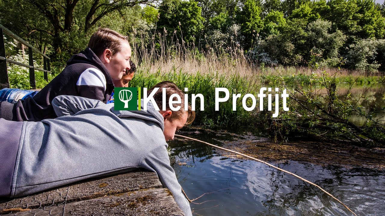 Ontdek Klein profijt