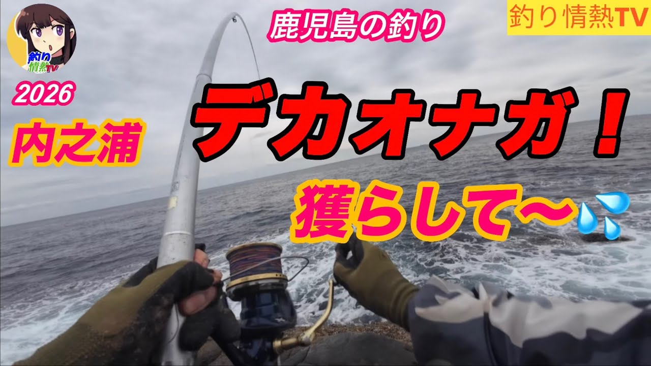 内之浦船間地磯❗️￼立神の横❗️デカオナガ絶対、取りたい‼️#釣り情熱tv #遠投カゴ釣り #鹿児島釣り 