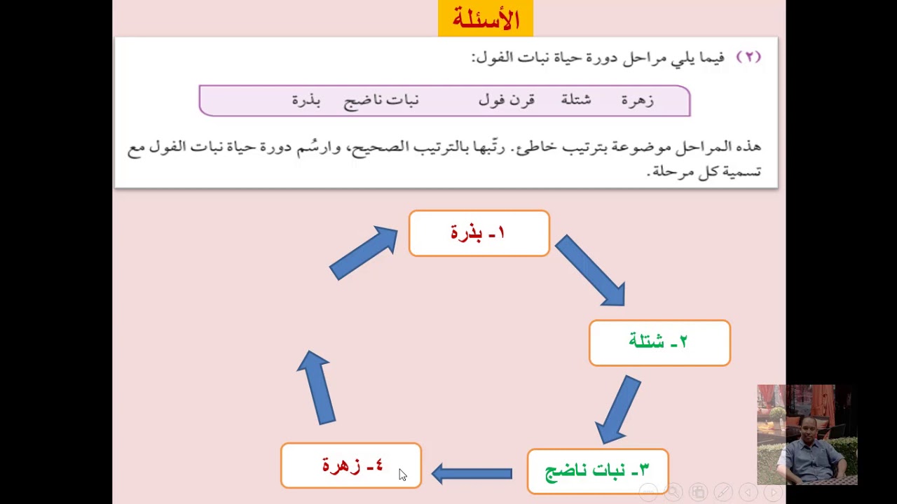 دورة حياة النبات صف خامس علوم منهج كامبردج 2020