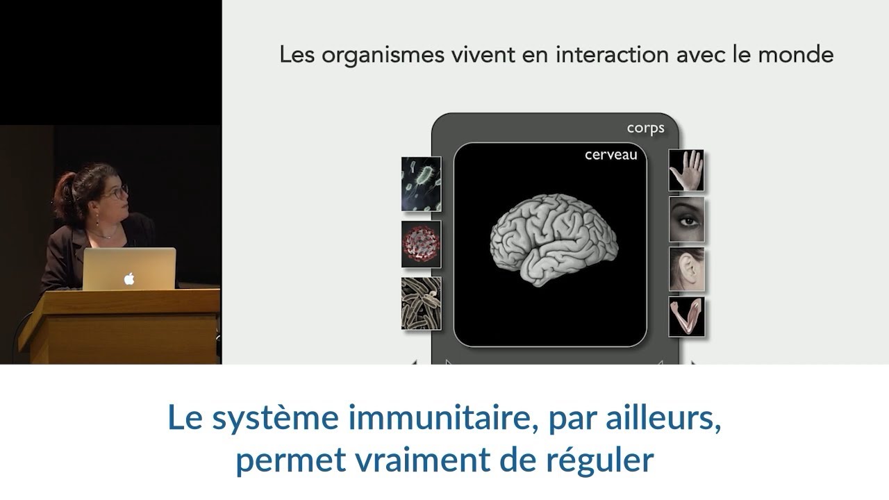 Du syst&egrave;me nerveux au syst&egrave;me immunitaire - Sonia Garel