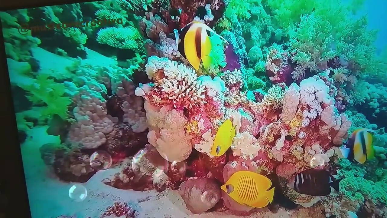 ABISMO DE ROSAS 