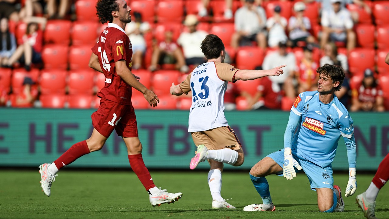ALM Highlights | Round 16 vs Adelaide United 2025/26