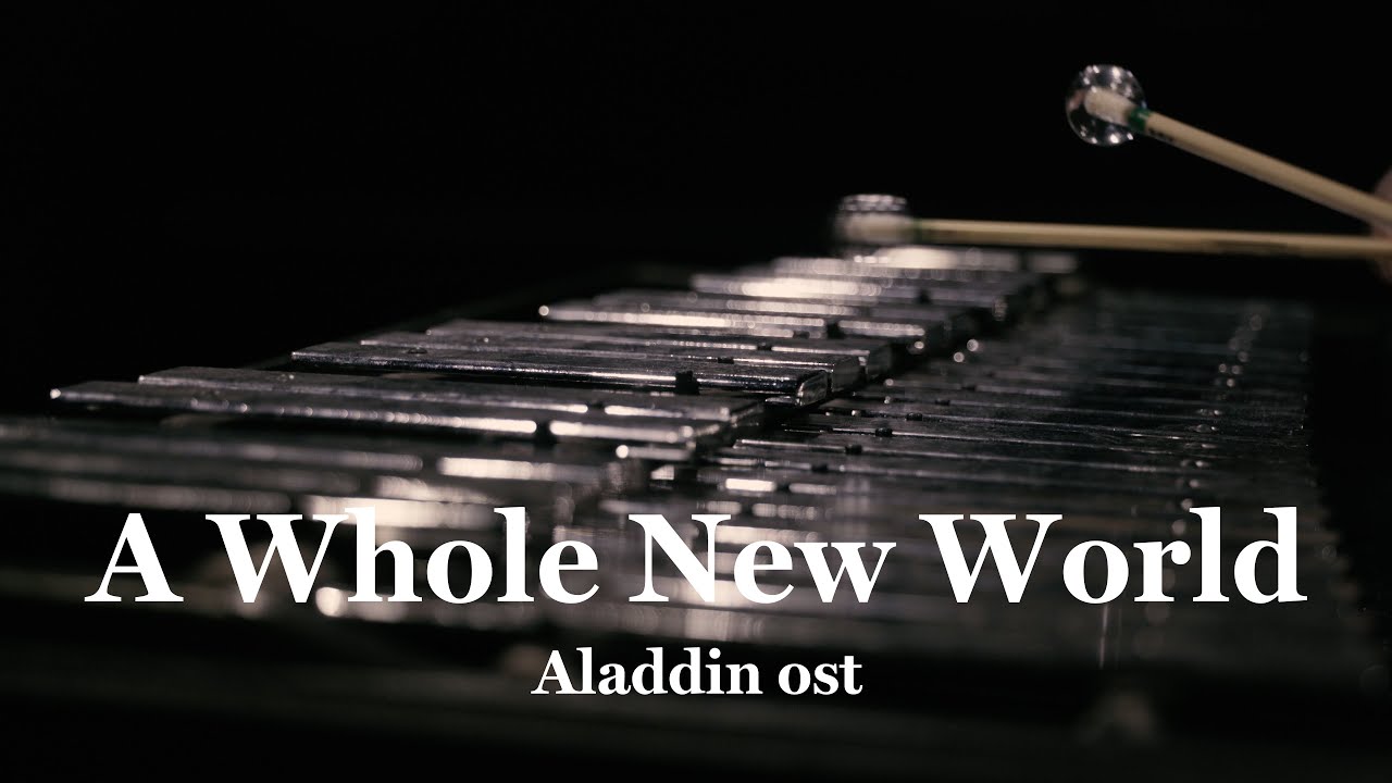 타악기로 연주하는 알라딘 ost_A Whole New World - Percussion Cover
