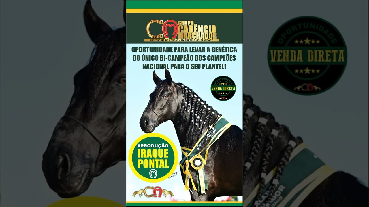 PRODUÇÃO IRAQUE PONTAL: O ÚNICO BI-CAMPEÃO DOS CAMPEÕES NACIONAL DE MARCHA PICADA!