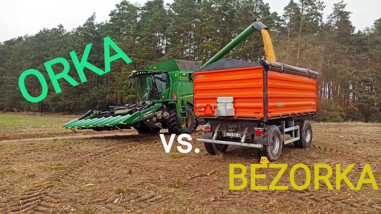 Koszenie kukurydzy dzień drugi! MAS 22R podbija wyniki! W jakiej uprawie lepsza? VLOG 350