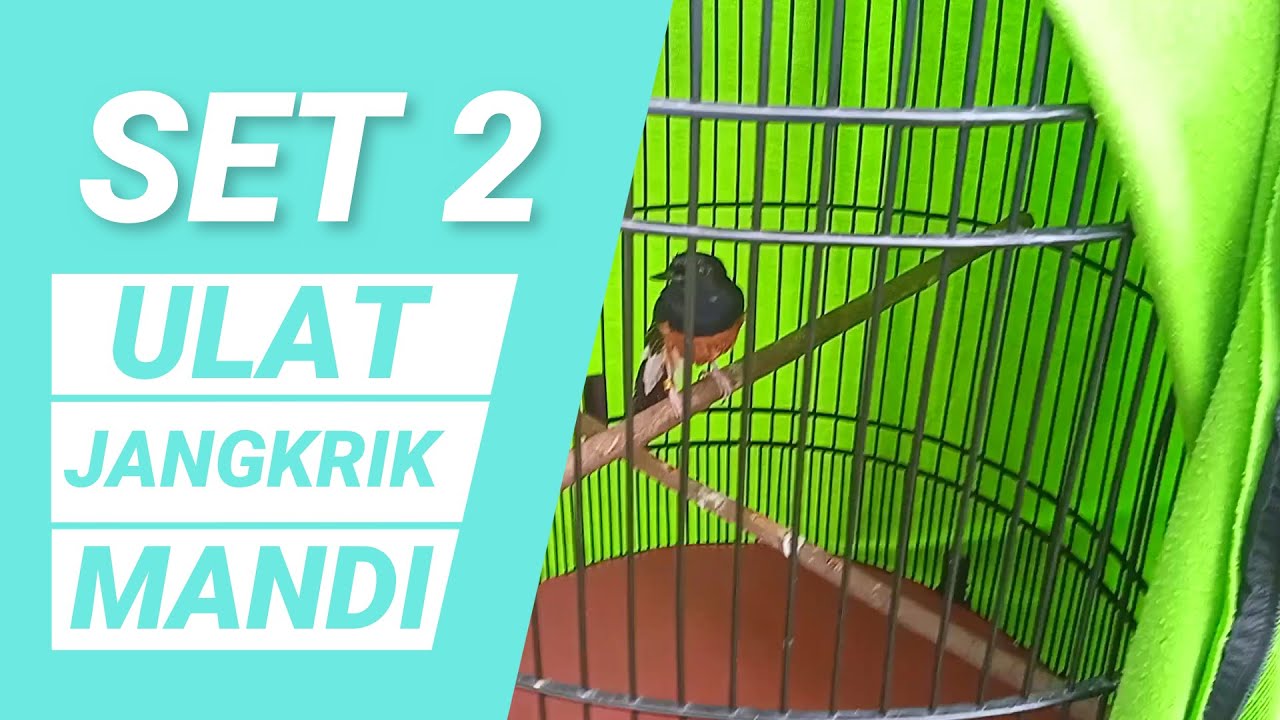 PART 3 : Setingan turun di sesi ke 2 sakral di tiket 5,5 juta