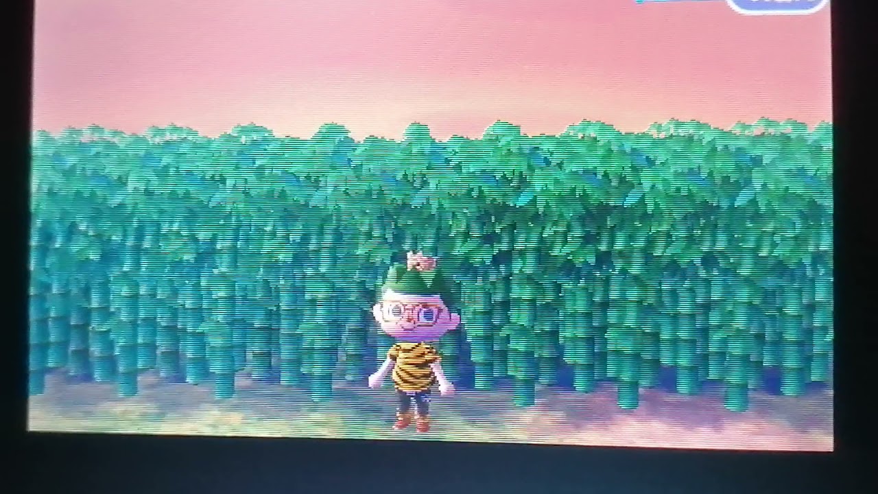 Animal Crossing New Leaf Tortimer Island Hacked