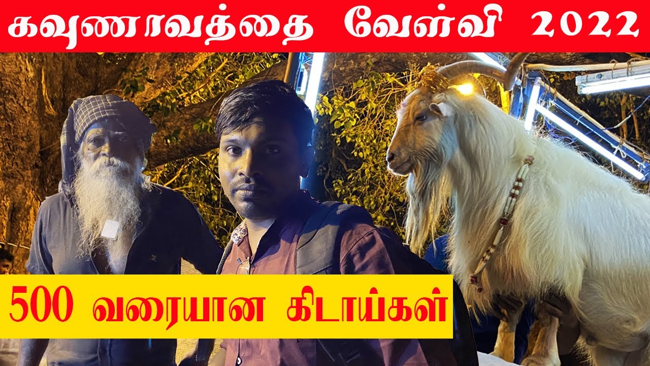 கவுணாவத்தை வேள்வி  18.06.2022 /kavunavattai #கவுனவத்தை Am - 12:30