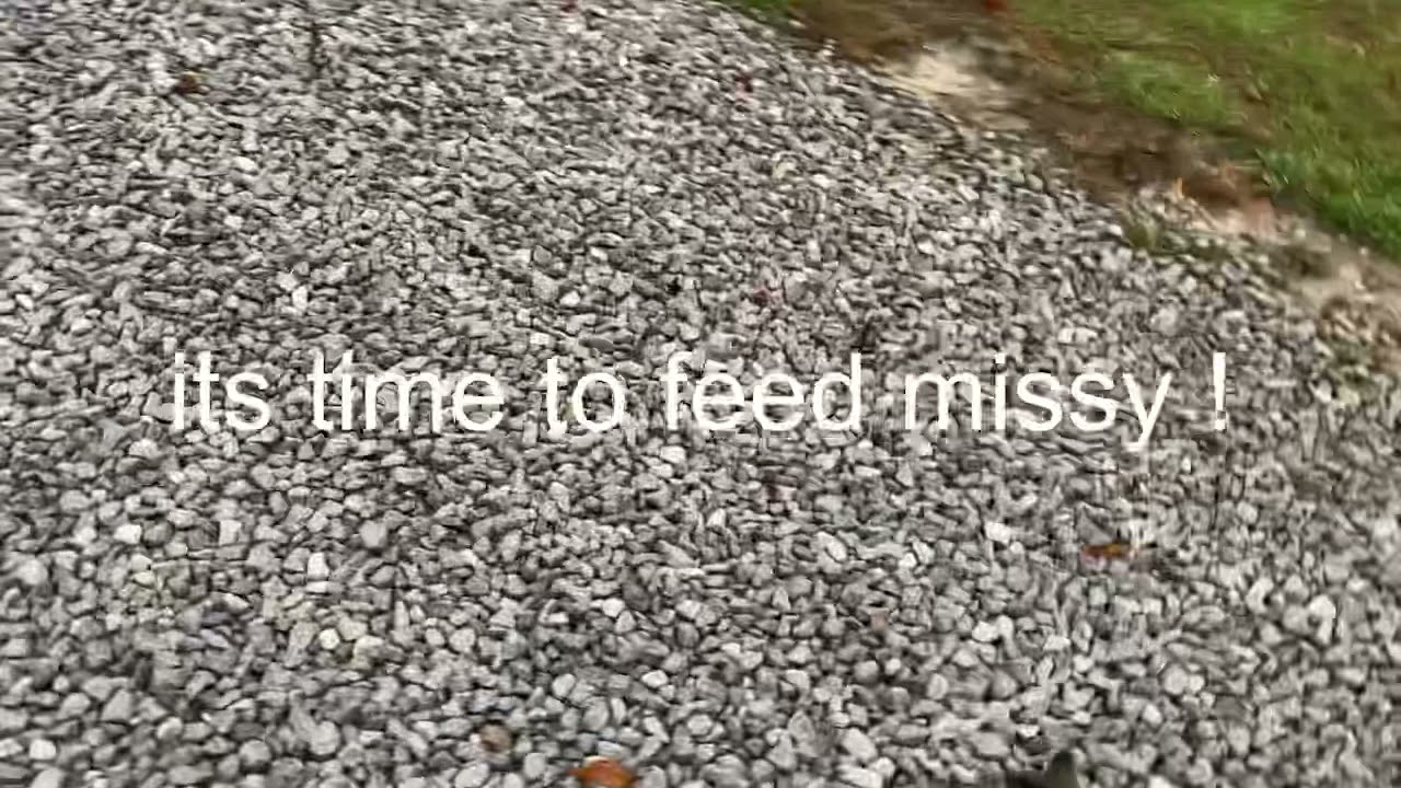 Missy having a bottle !