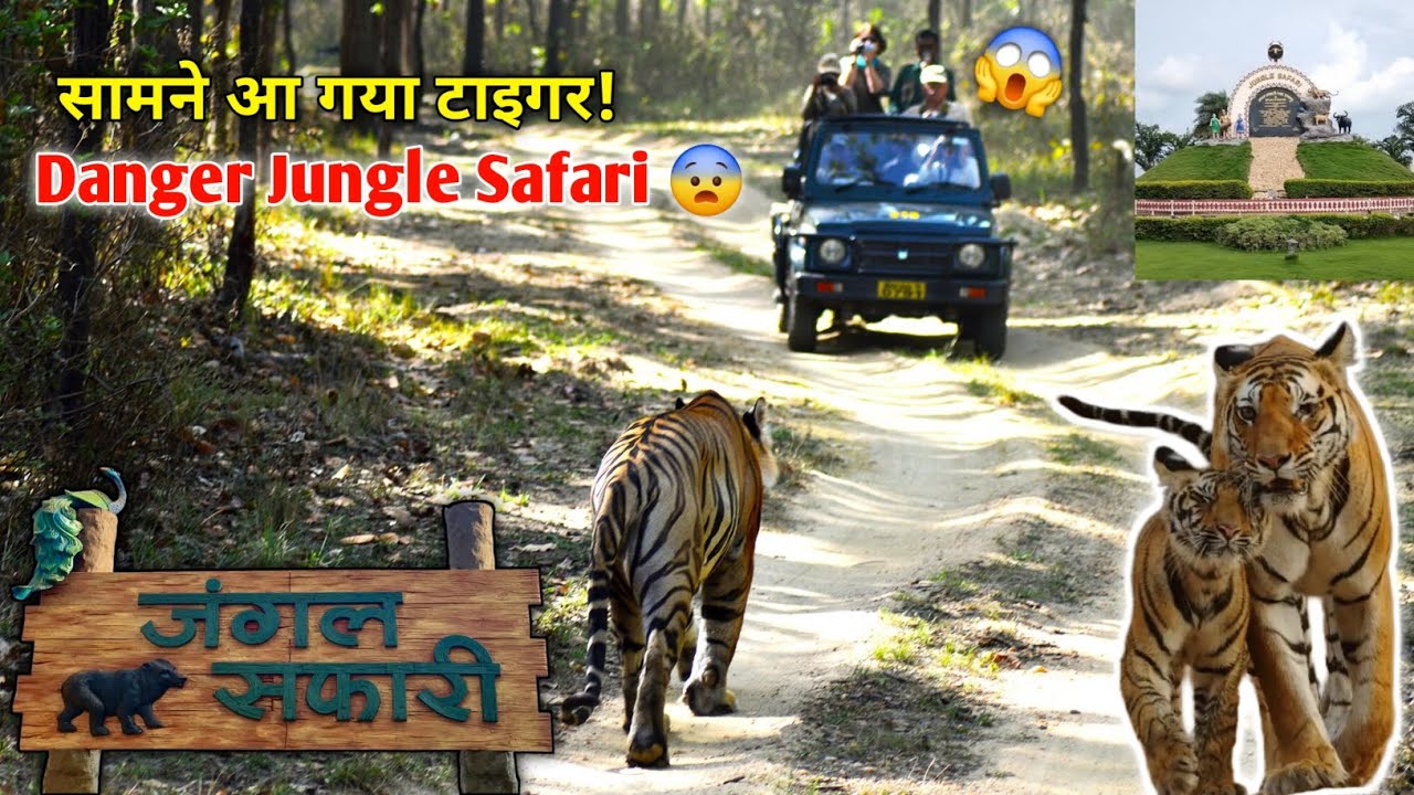 Jungle Safari Raipur | NandanVan Zoo | Atal Nagar Naya Raipur 