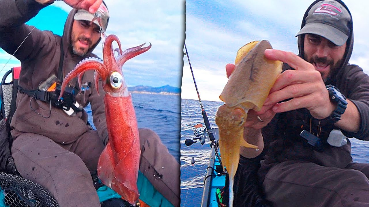 Un DÍA PERFECTO de PESCA en KAYAK