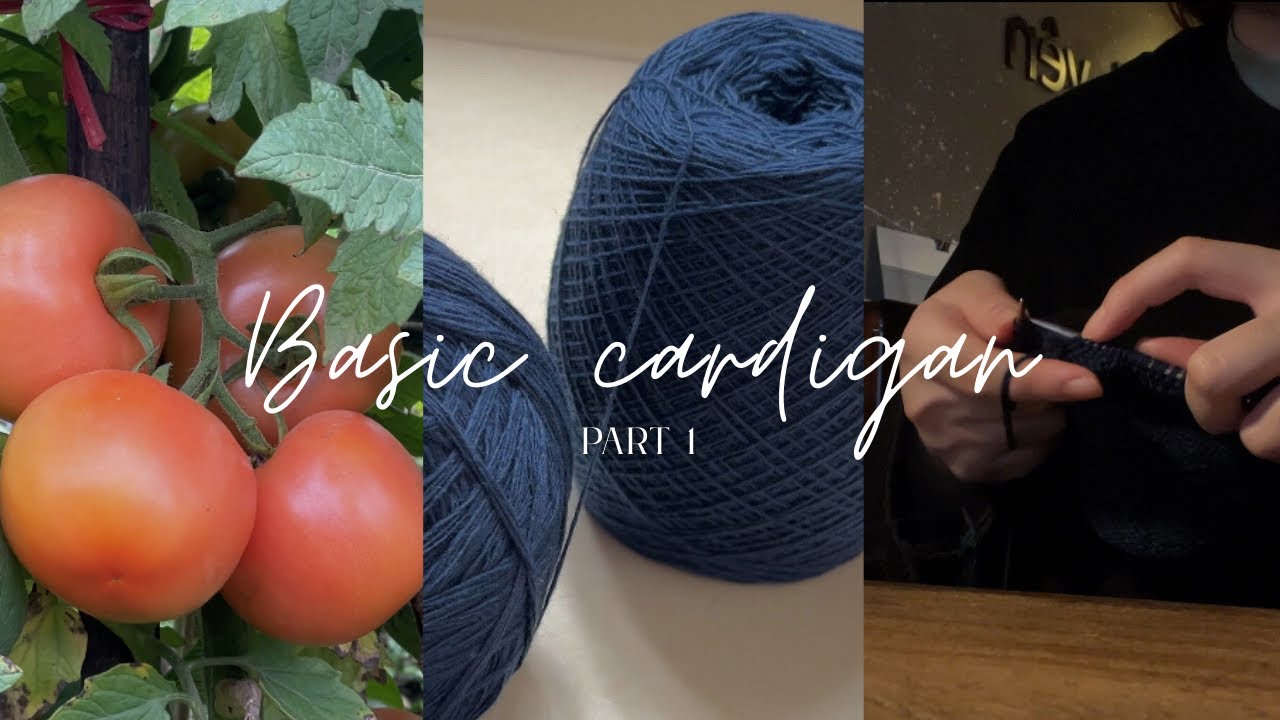 Cùng mình đan áo đón Tết nhé ❣️ (knitting vlog #1)