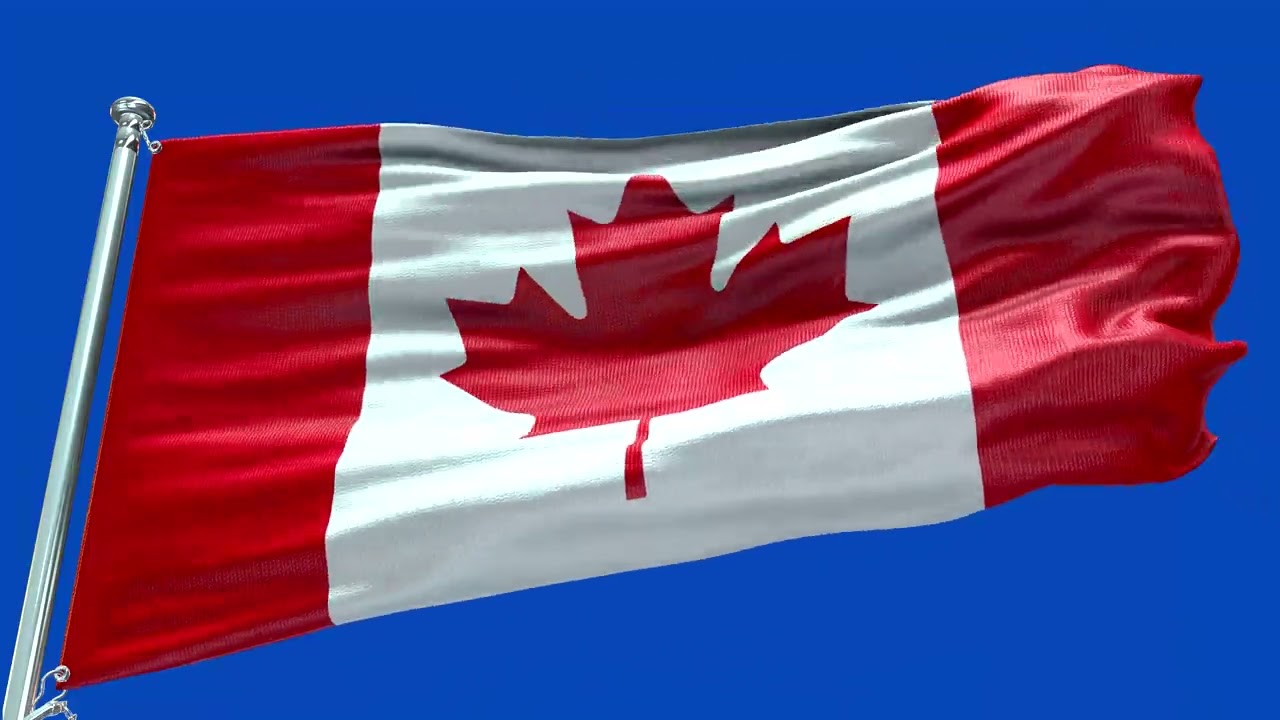 🚩Canada Flag Waving  | GREEN SCREEN & CHROMA MATTE🚩